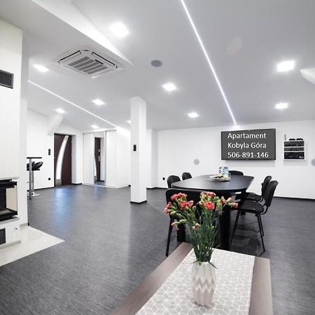 Apartament Iwona Kobyla Góra Extérieur photo